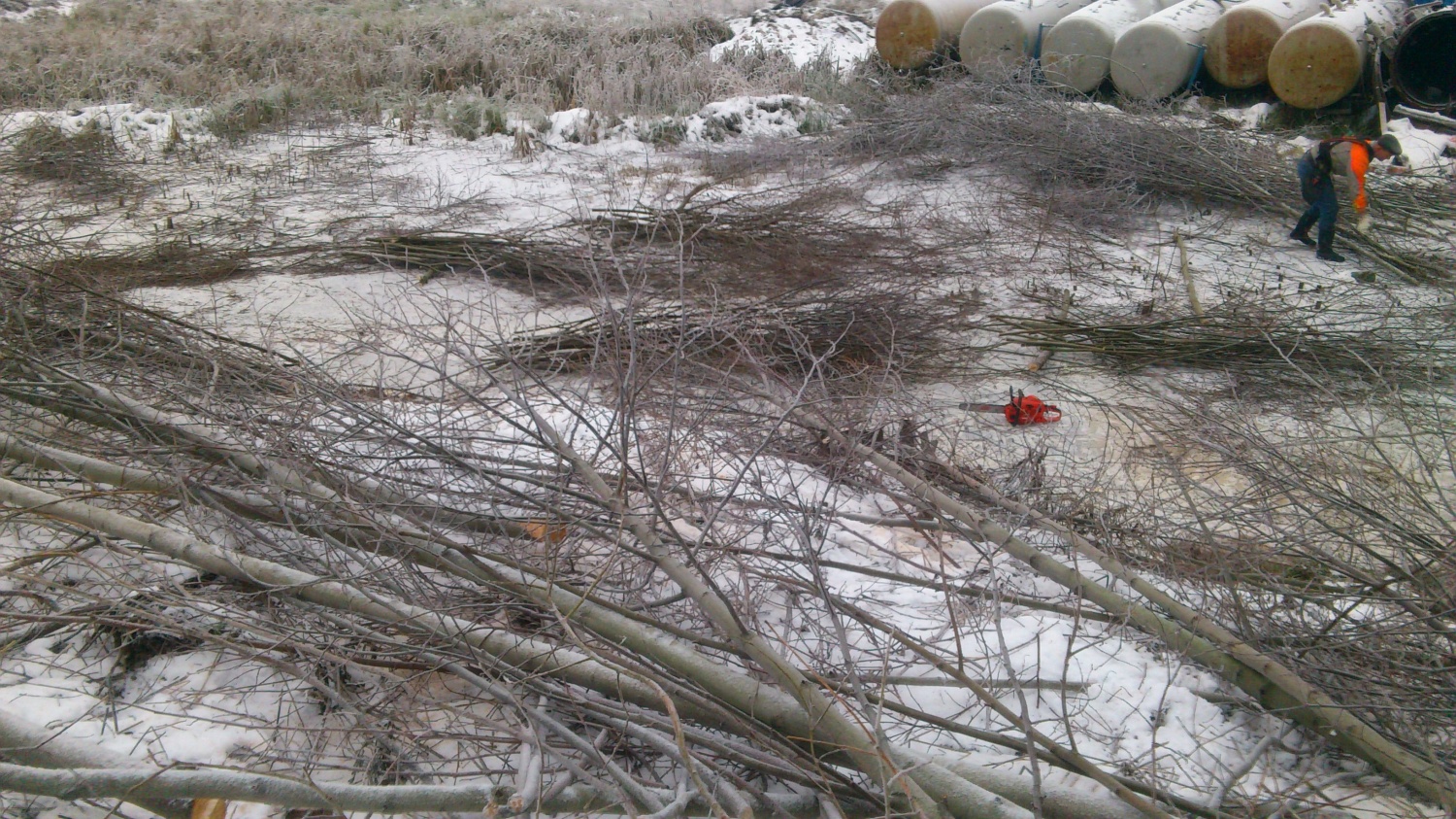 Расчистка кустарника зимой со льда замершего болота